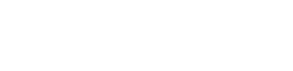 liv-nelson-logotype-white Liv Nelson | Product Designer & UX/UI Engineer Logotype
